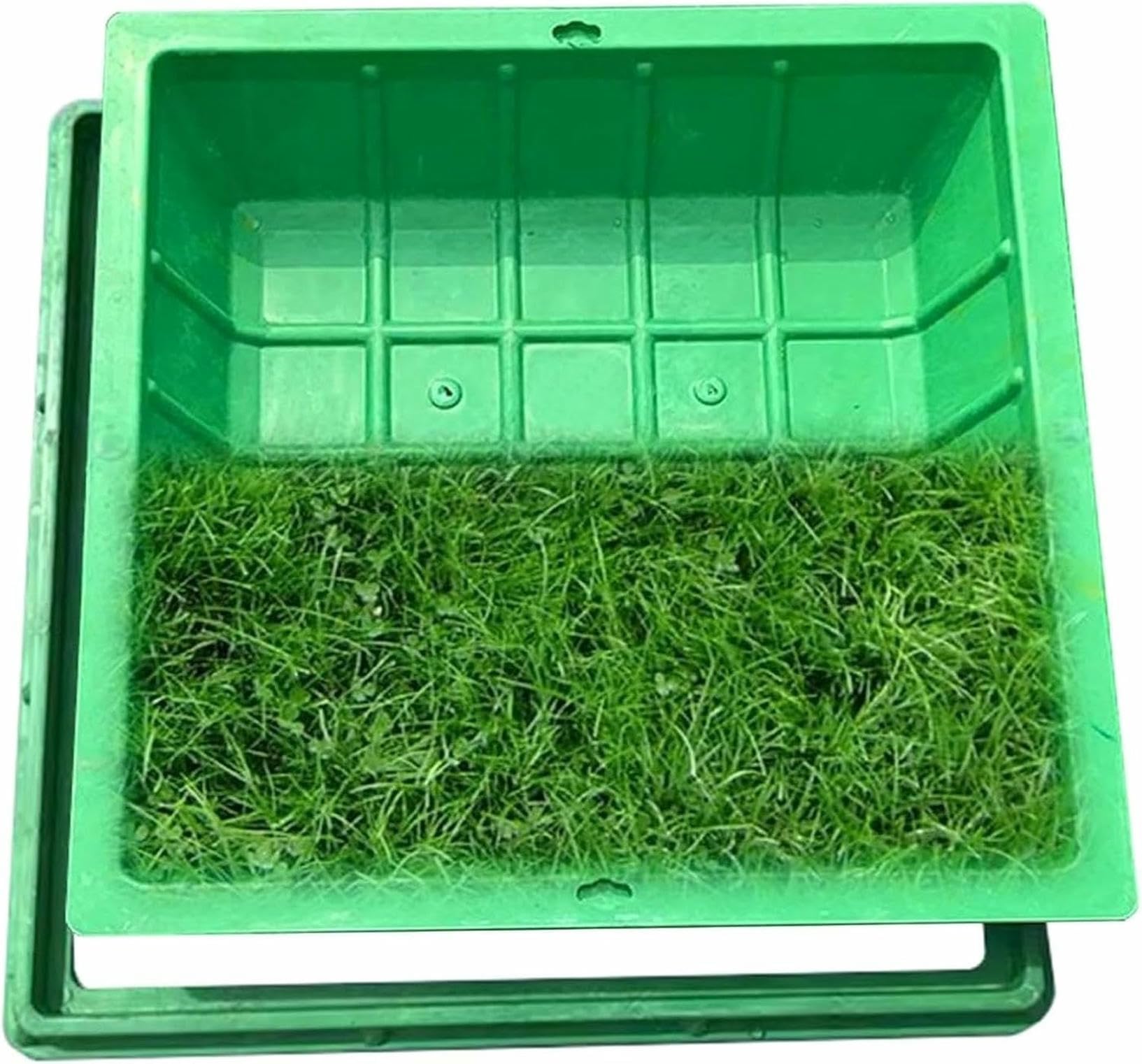 Fosse septique : couvercle de regard invisible en résine durable 50x50