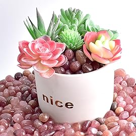 SigMntun Polished Strawberry Quartz Crystals - 72 pcs Handpicked Tumbled Gemstones Rocks, Pebbles for Reiki, Chakra, Healing, Home Decor