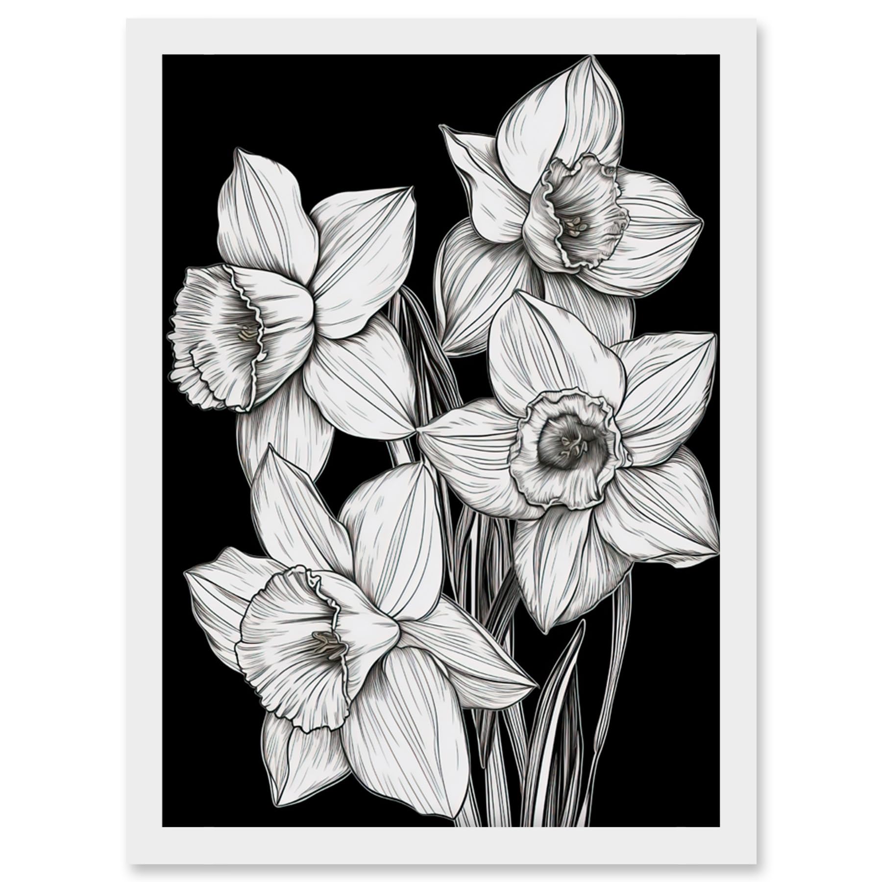 Artery8 Daffodil Wildflower Plant Blooms Black and White Artwork Framed Wall Art Print A4