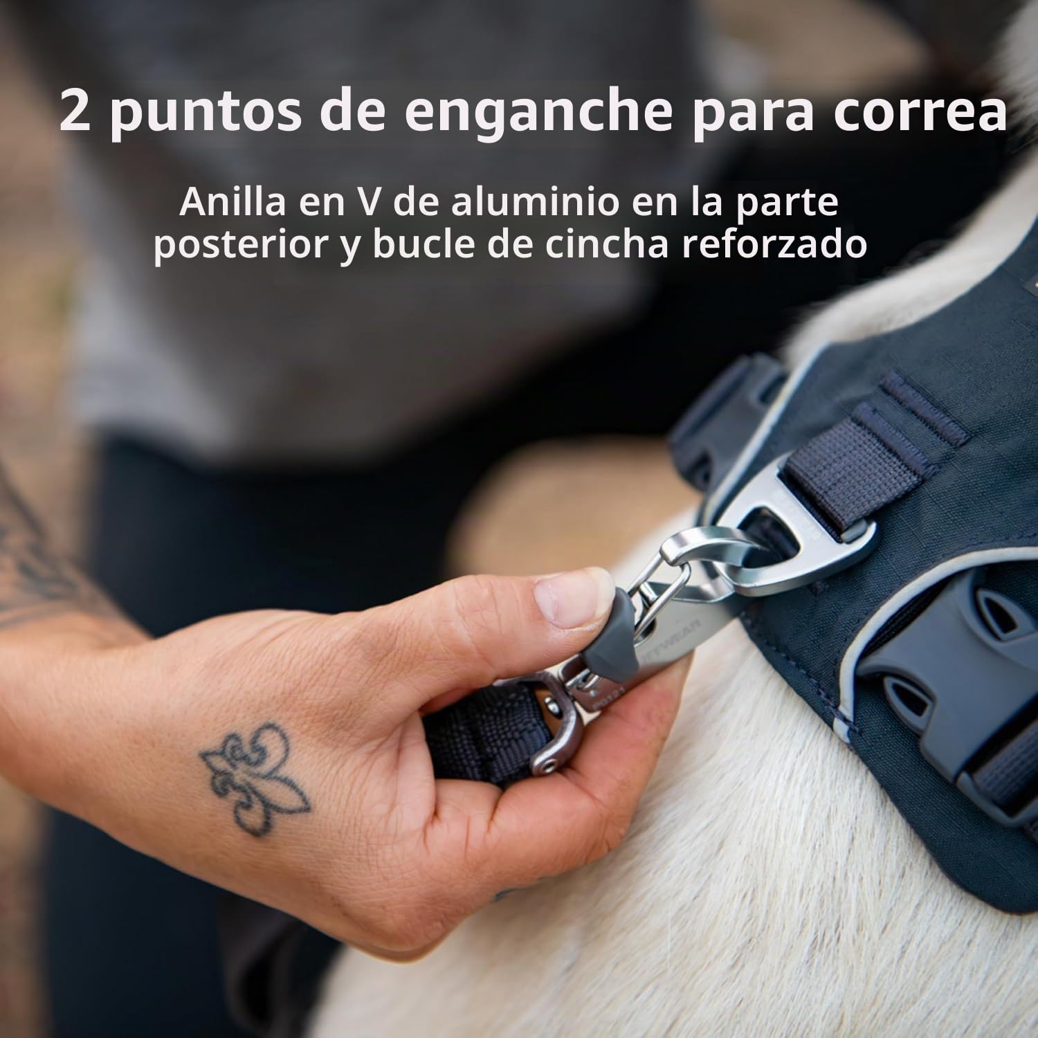 RUFFWEAR Front Range - Arnés para Perros pequeños, arnés Reflectante en Y, Ajustable, cómodo y Acolchado, arnés para pasear al Perro, sin tirones, 2 Accesorios de Correa y Anillo en V, Talla S, Gris