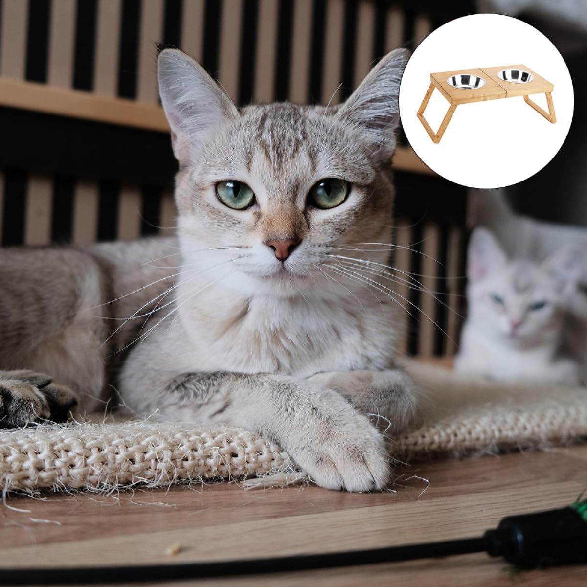 ibasenice Mangeoire pour Animaux Pliable Acier Inoxydable Support pour Deux Gamelles pour Chiens Et Chats Gamelle pour Nourriture Et Eau