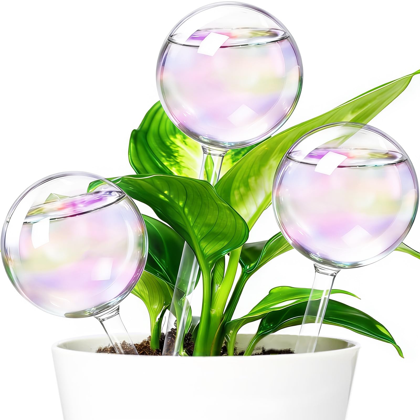 Photo 1 of Iridescent Self Watering Globes,Automatic Plant Glass Waterer Bulbs,Rainbow Plant Watering Insert,Clear Glass Plant Water Globes for Indoor & Outdoor