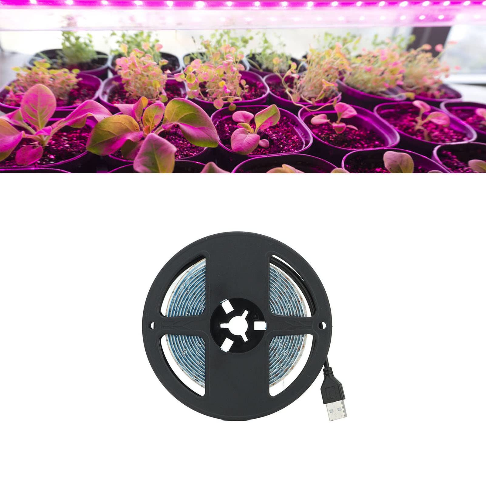 ciciglow Bande Lumineuse Solaire de Croissance des Plantes, 20W IP65 Lampe de Croissance LED étanche avec Boîte de Protection de Batterie pour Plante Hydroponique à Effet de Serre, Fleurs