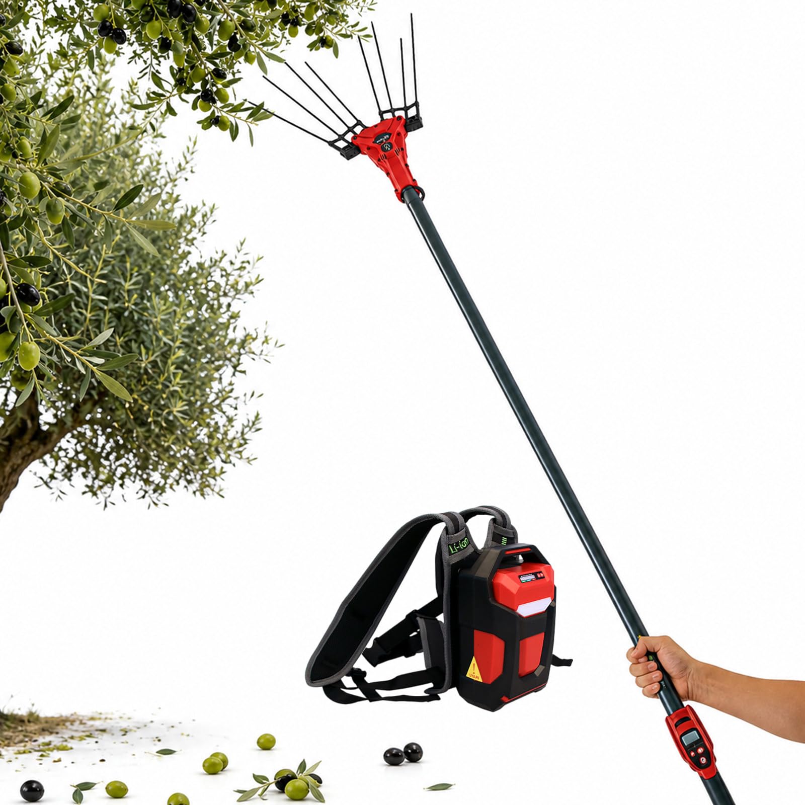 Raccoglitrice Frutta Elettrica, Macchina Raccolta Olive con Motore Brushless 250W/600W, 6 Livelli, Impugnatura LED, Cavo 10m E Asta Telescopica per Orti E Aziende 600W-withBattery