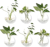 DZHJKIO Hanging Glass Wall Planters Pack of 6 - Round Propagation Stations, Air Plant Terrariums, 4.7" Durable Heat-Resistant Vases