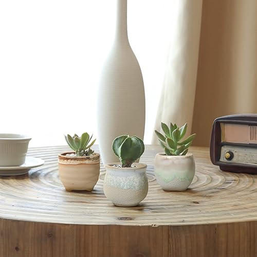 Miniatura 8 de T4U Juego de 6 macetas pequeñas de cerámica para suculentas con drenaje, mini para plantas, maceta de porcelana pequeña, macetas de plantas de aire,