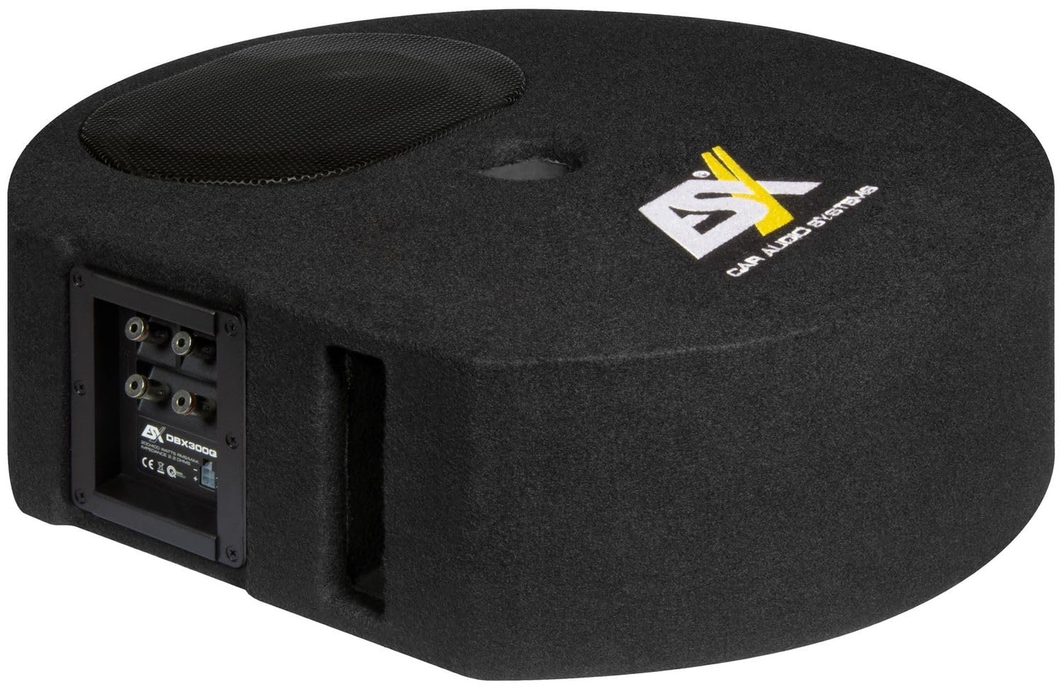 ESX DBX300Q | 15 x 23 cm (6 x 9') Bassreflex-System für die Reserverad-Mulde