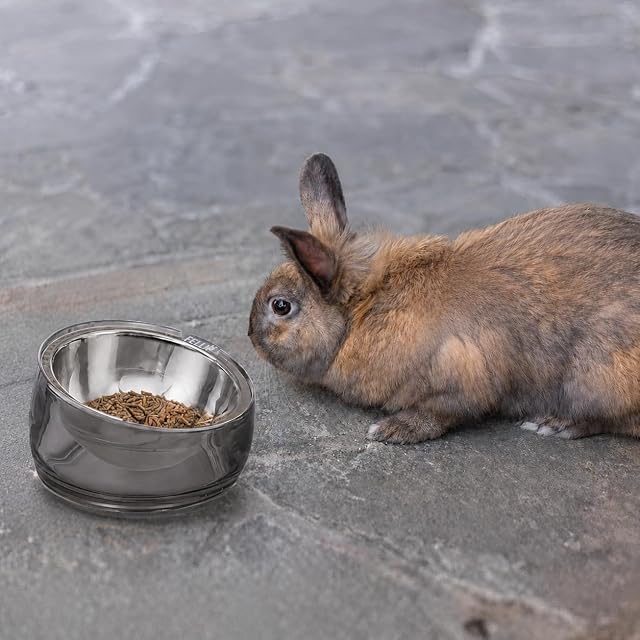Foto 5 de 8 de Felli Oblik - Cuencos inclinados de 15° para animales pequeños para comida y agua para mascotas, plato…