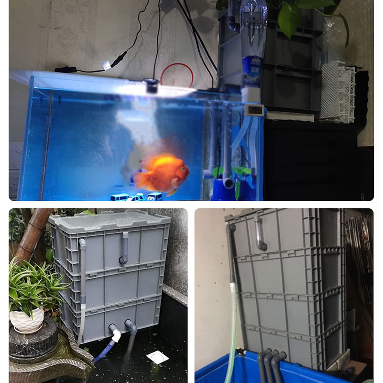 Filtro de Acuario, Caja de Goteo para pecera DIY - Sistema de circulación de Agua Externo para estanques medianos, Caja de Filtro de rotación eficiente para Agua Clara y un Entorno Saludable