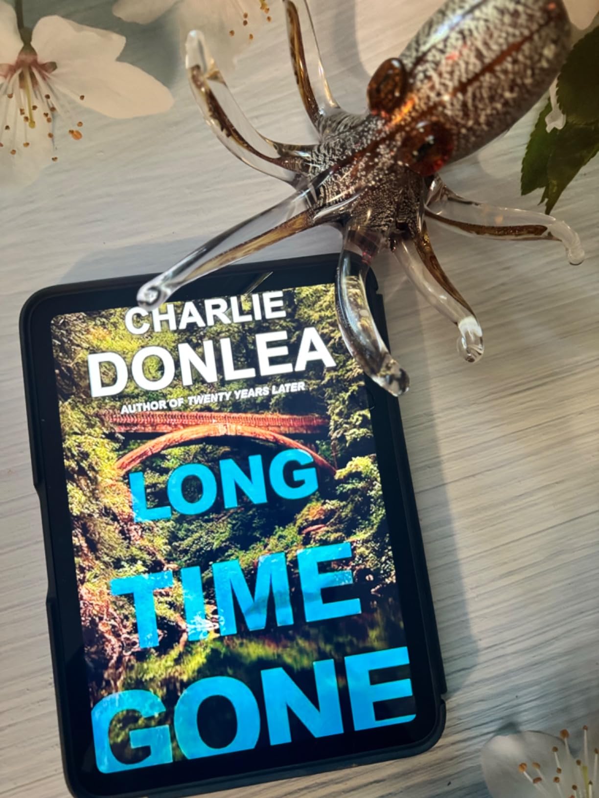 Long Time Gone 9781496727183 Donlea, Charlie Books