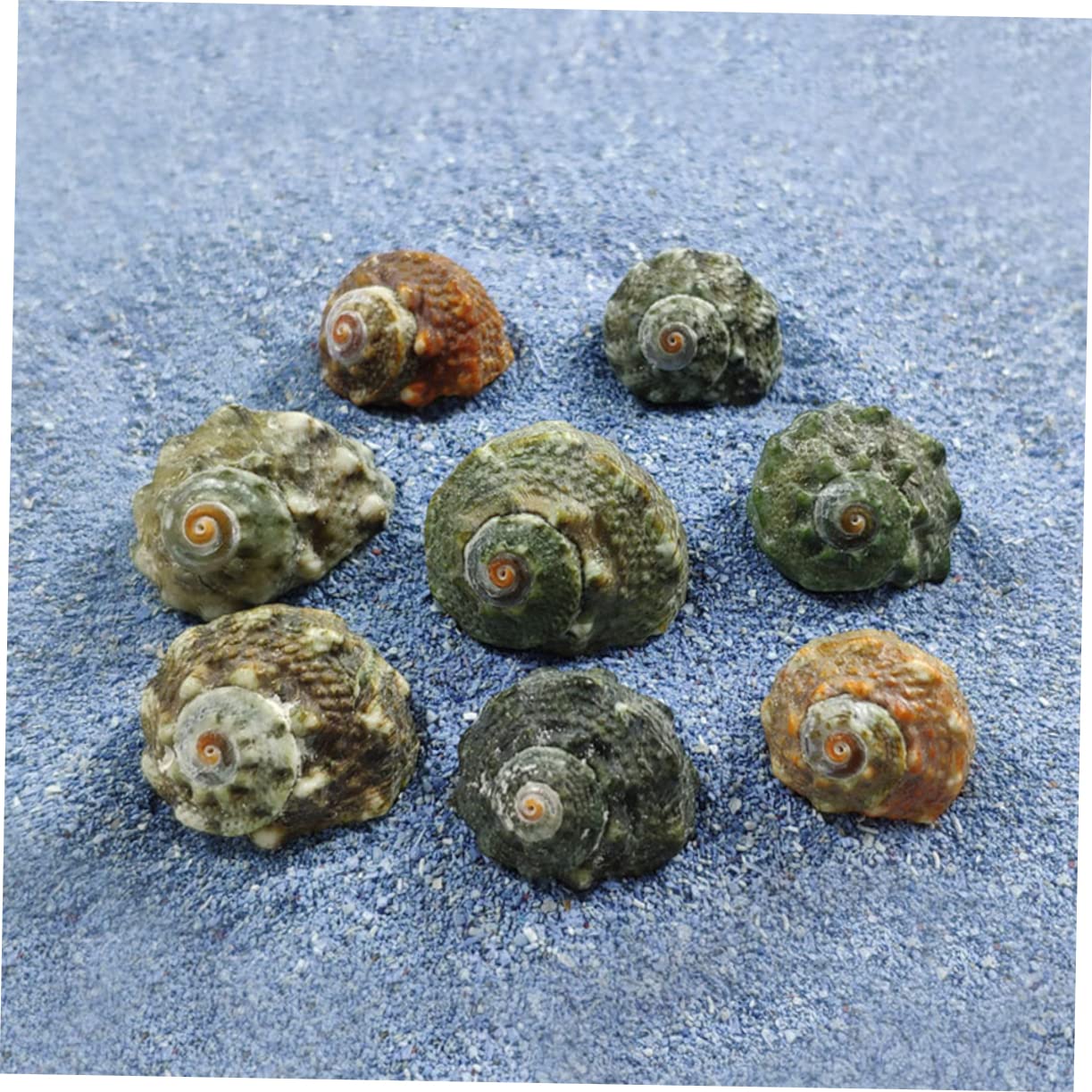 Cabilock 3 Set Tasca Del Pesce Vite Decorative Naturale Perline Di Conchiglie Accessori Ornamenti Oceanici Arredamento Paesaggio Piccolo Di Grandi Dimensioni Conchiglia 100 Pezzi * 3
