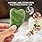 Deciniee Jade Roller and Gua Sha Set - Beauty Face Massager & Guasha Tool for Eye, Neck, Body - 2 in 1 Skin Care Massage Tools, Muscle Releaxing and Relieve Wrinkles