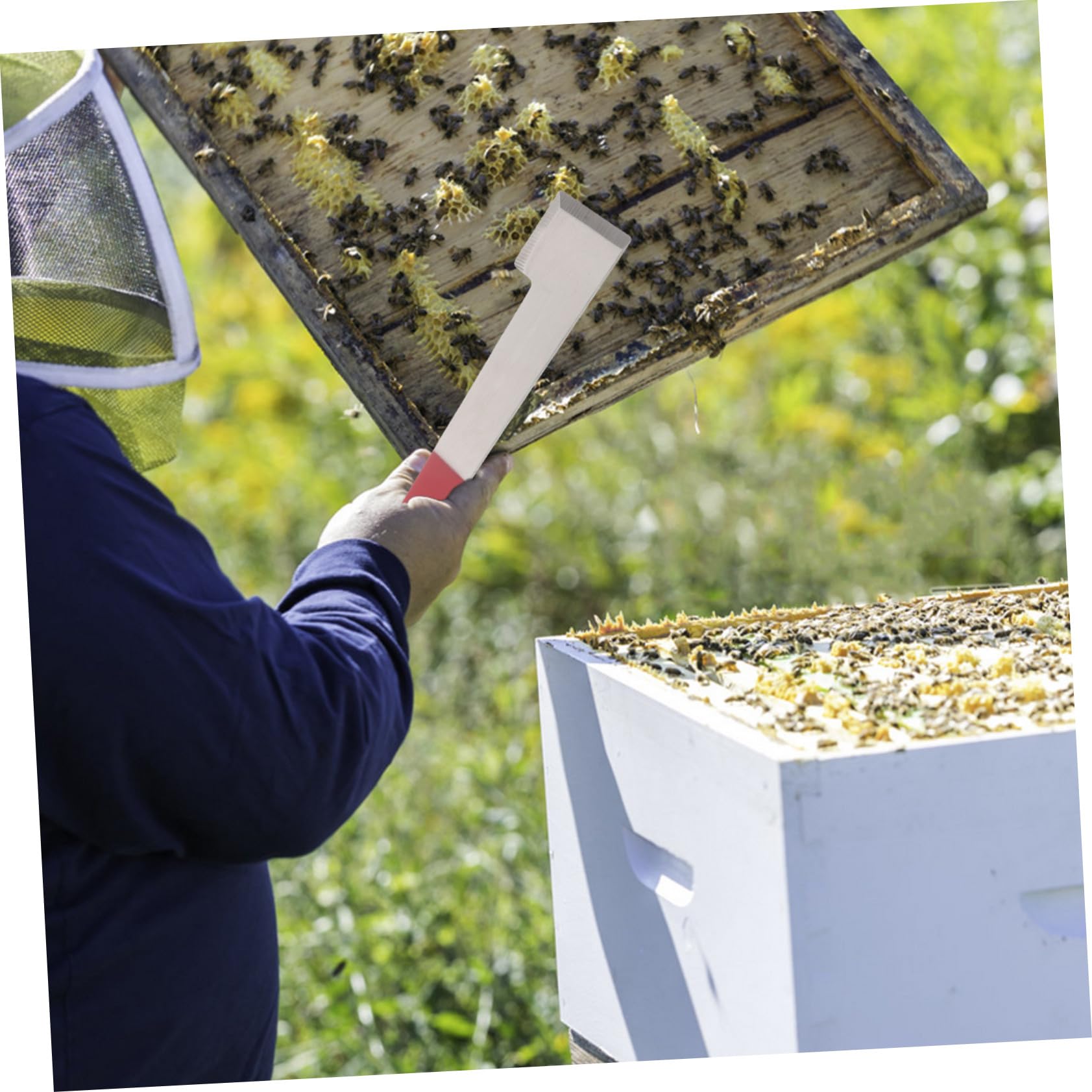 Kit de 5 Outils D’apiculture en Acier Inoxydable pour Ruches