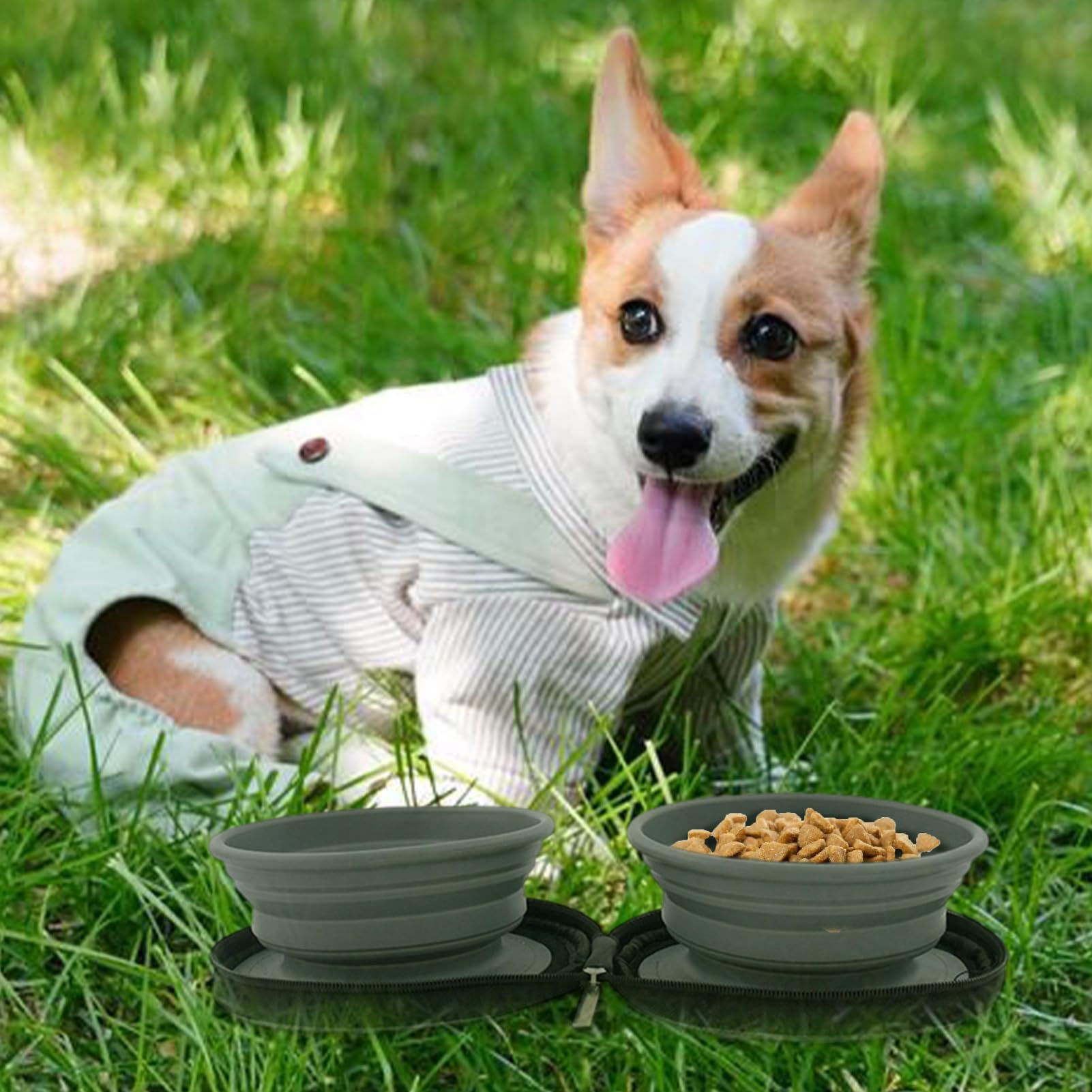 Ciotola pieghevole per cani, ciotola portatile per cibo per cani, accessori per animali domestici, ciotole rotonde per campeggio, adatta per esterni, viaggi, uso interno