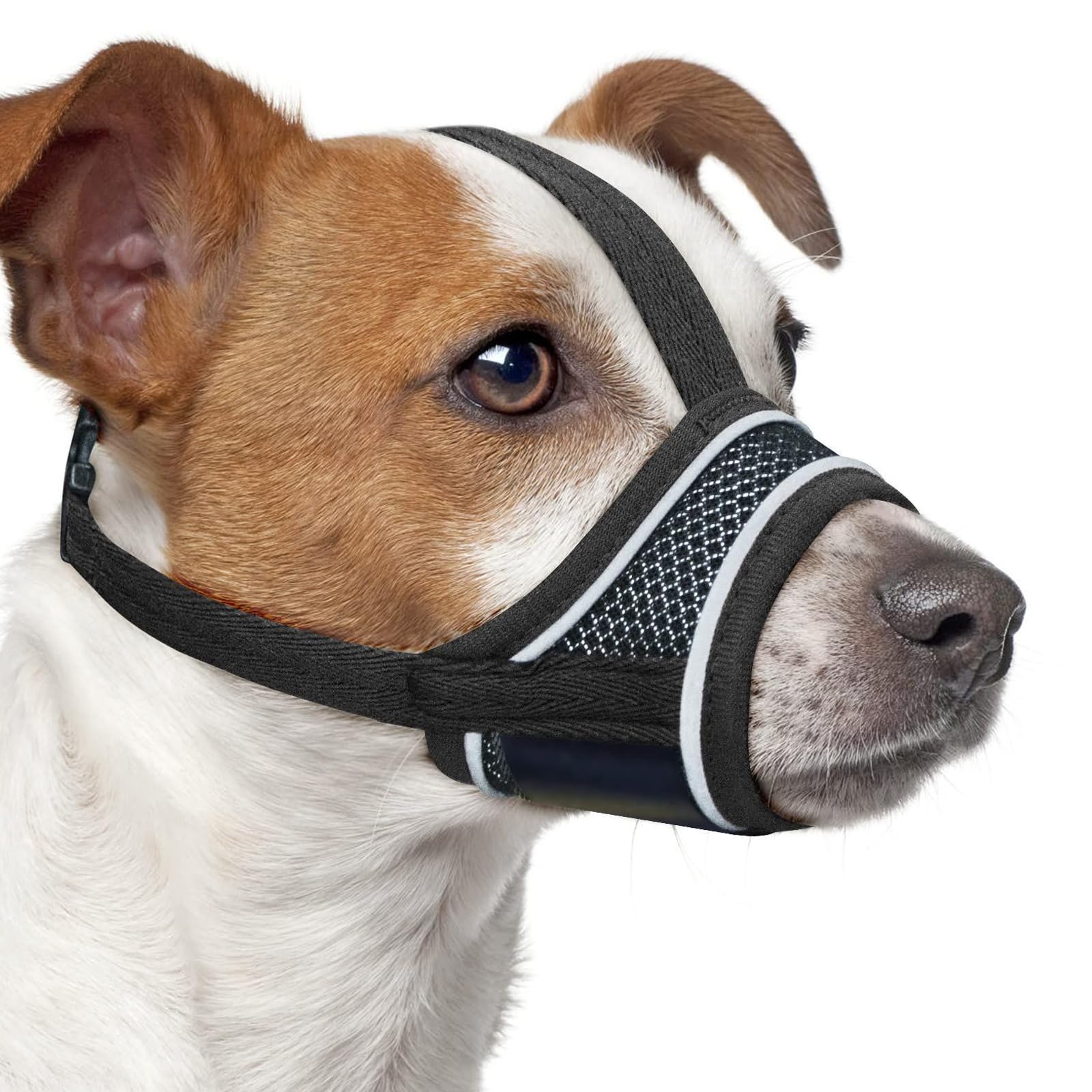 Muselière Chien Réglable en Nylon Reflectif, Soft et Confortable avec Système d'ajustement pour Petits Chiens, Idéale pour Promenades et Entraînement