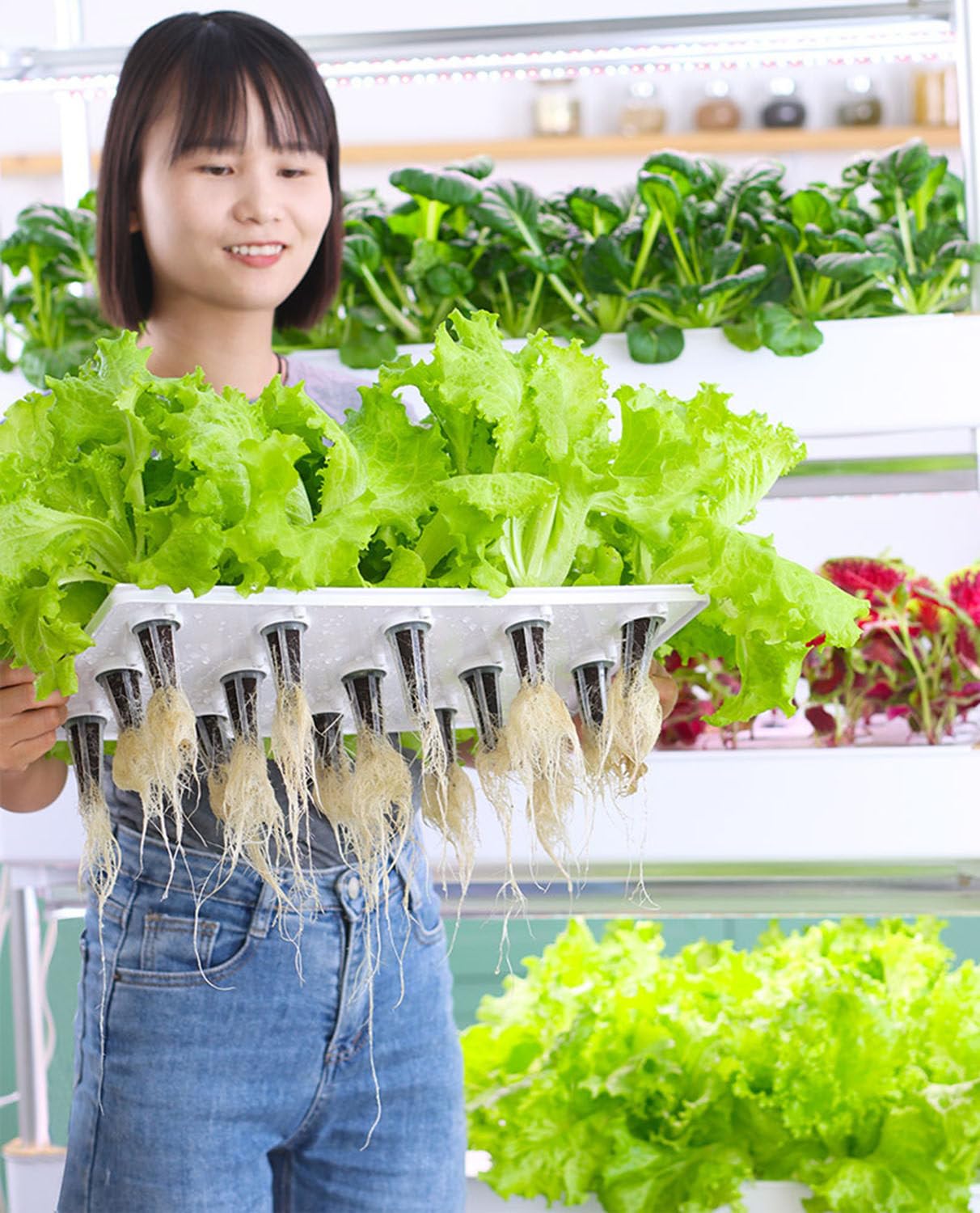 Sistema de cultivo hidropónico de interior con luz LED de cultivo, kit de riego automático para 48-120 plantas, ideal para hierbas, frutas, verduras