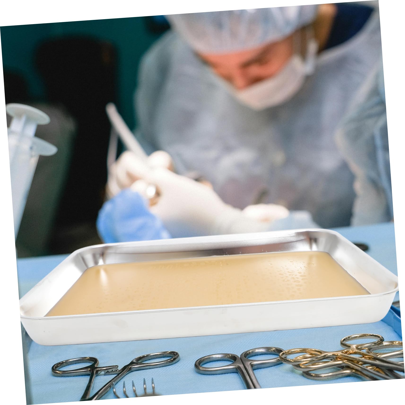 Edelstahl Sezierpfanne mit Wachs für Biologiestudien und Experimente