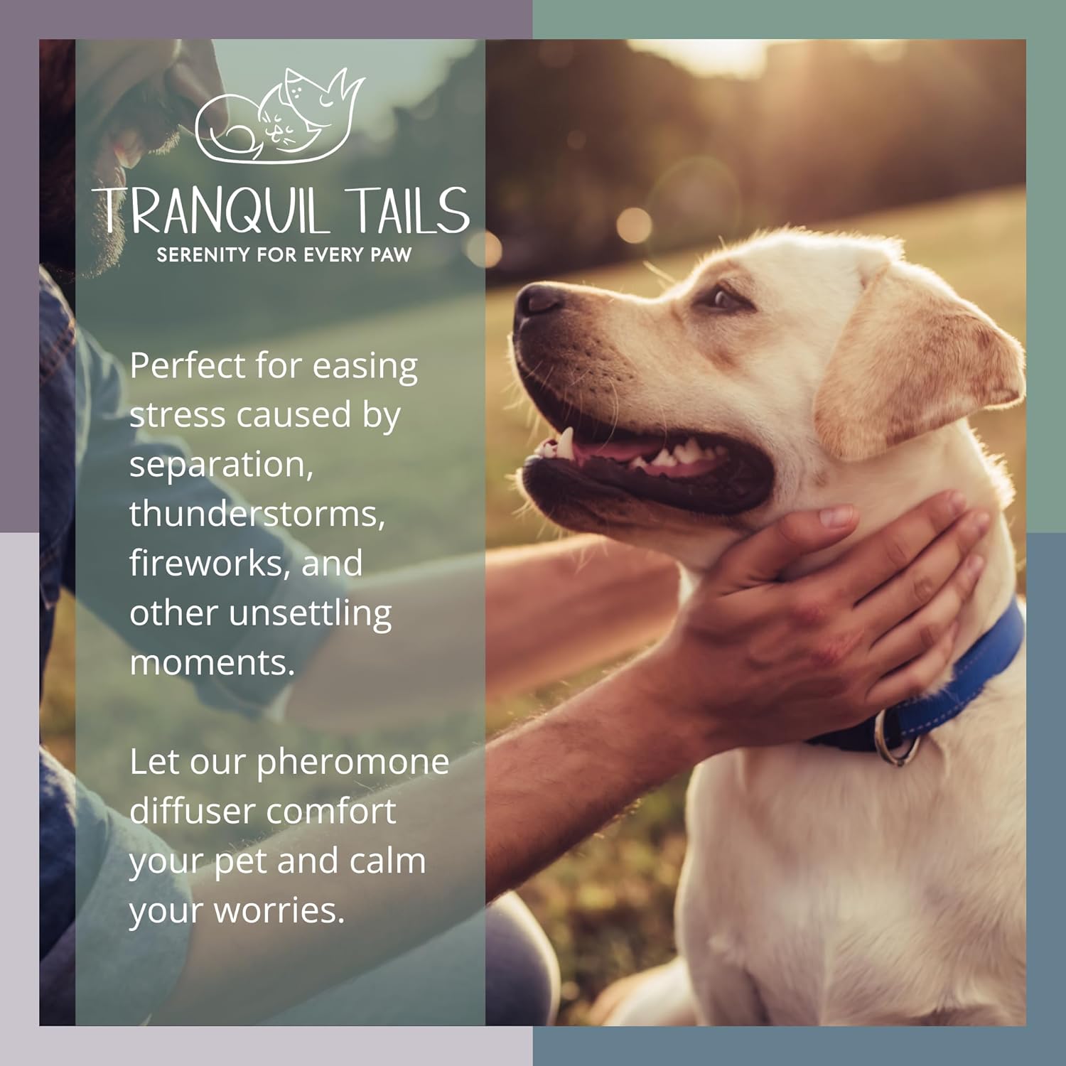 Calming Pheromone Dog Diffuser with 24 Refill Pads