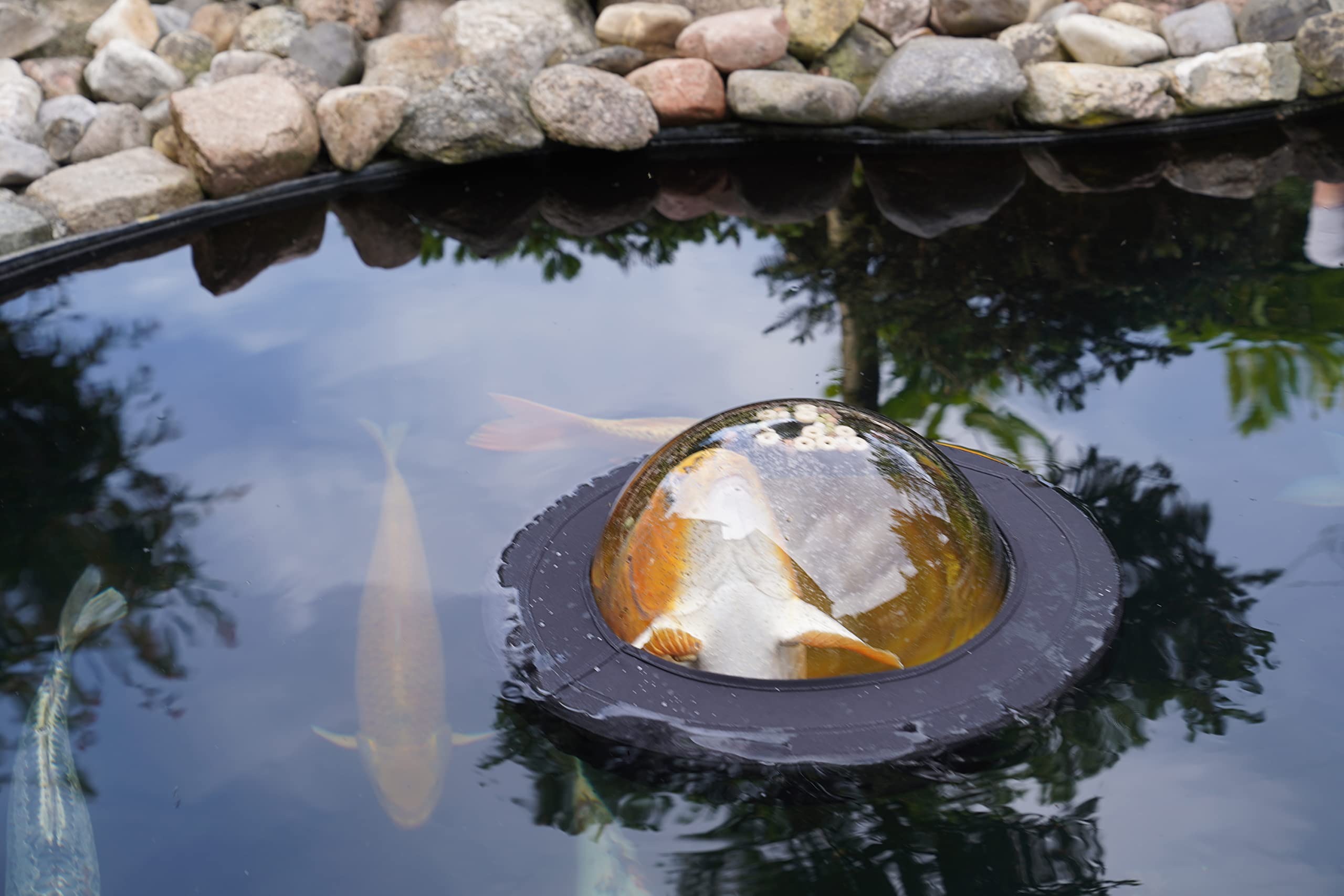 Velda 123503 Plexiglas-Kuppel zum Beobachten von Teichfischen, Ø 35 cm, Floating Fish Dome M