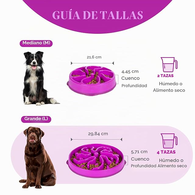 Foto 5 de 7 de Outward Hound Fun Feeder Slo-Bowl - Comedero con obstáculos para perros - Morado - Grande/normal