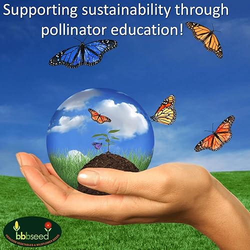 Miniatura 7 de Semillas de flores silvestres de néctar de colibrí, 1 onza, paquete de mezcla de semillas de flores silvestres de polinización abierta, sin OMG, sin