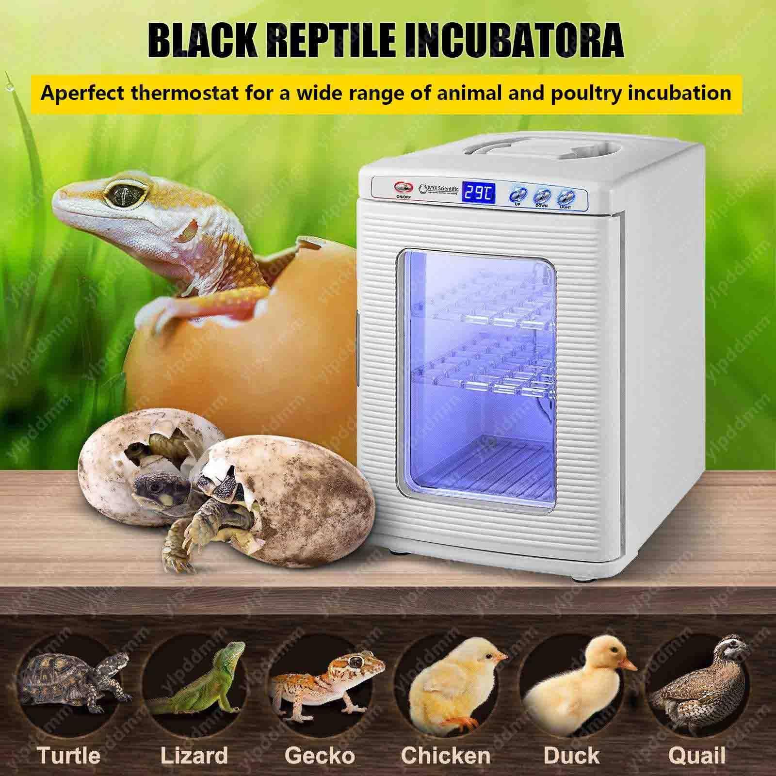 Incubatrice per rettili, controllo preciso della temperatura 36-140°F White | incubatrice for uova di rettili, per Laboratorio e Cova Uova, Scientifico per Piccoli Rettil, per Uova Automatica