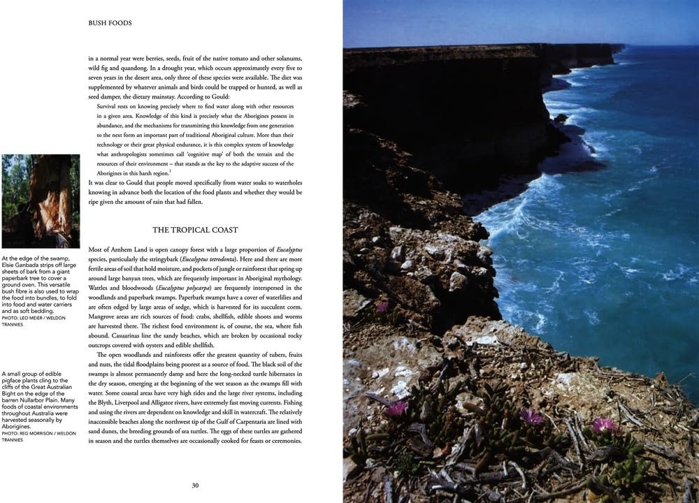 Bush Food: Aboriginal Food and Herbal Medicine