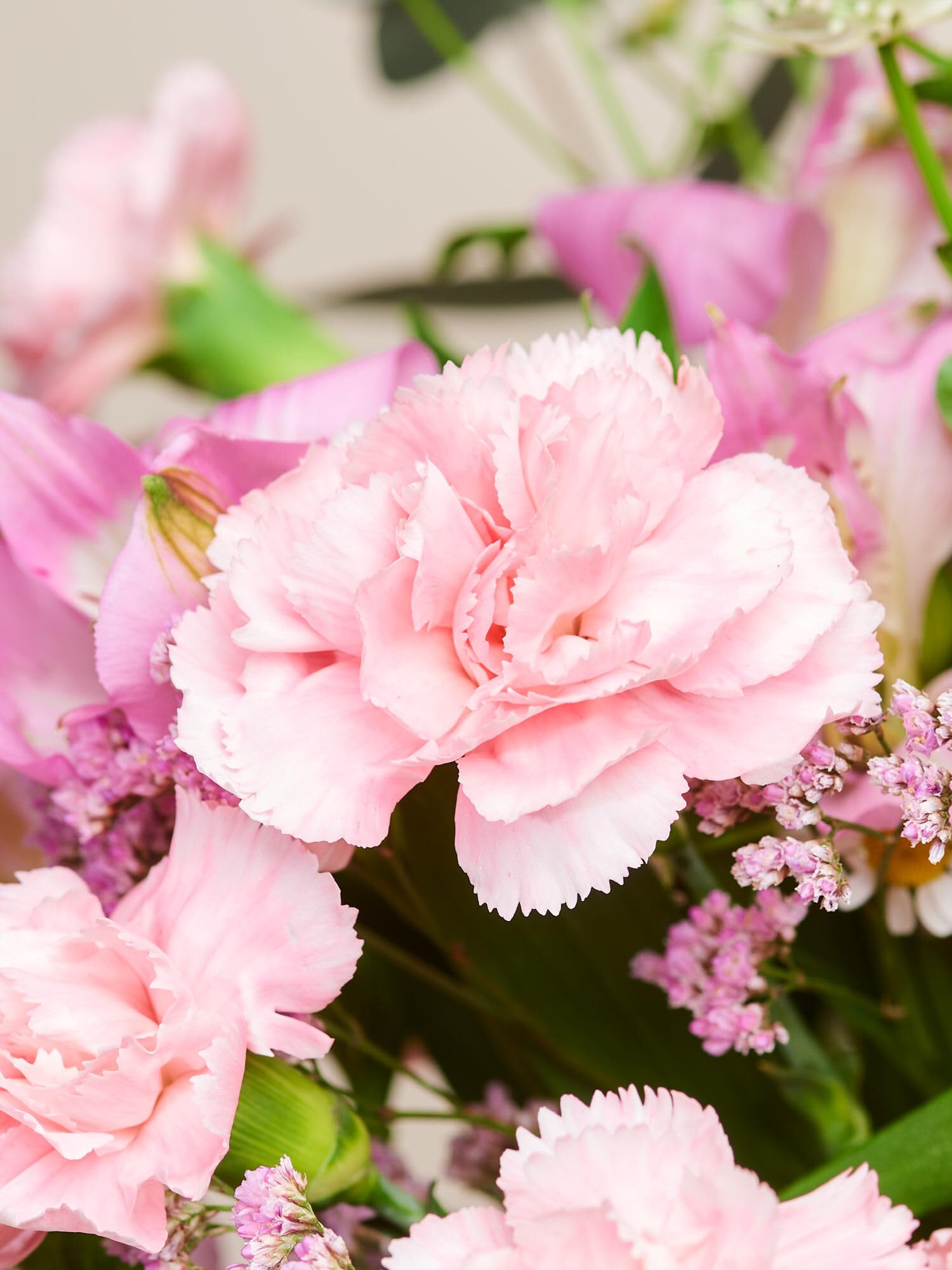 BLOOMY DAYS Blumenstrauß "Blossom Beauty" in RosaOrange, mit Alstromerien, Eukalyptus und Limonium, 7-Tage-Frischegarantie, Floristen-Qualität, das perfekte Geschenk bestellen