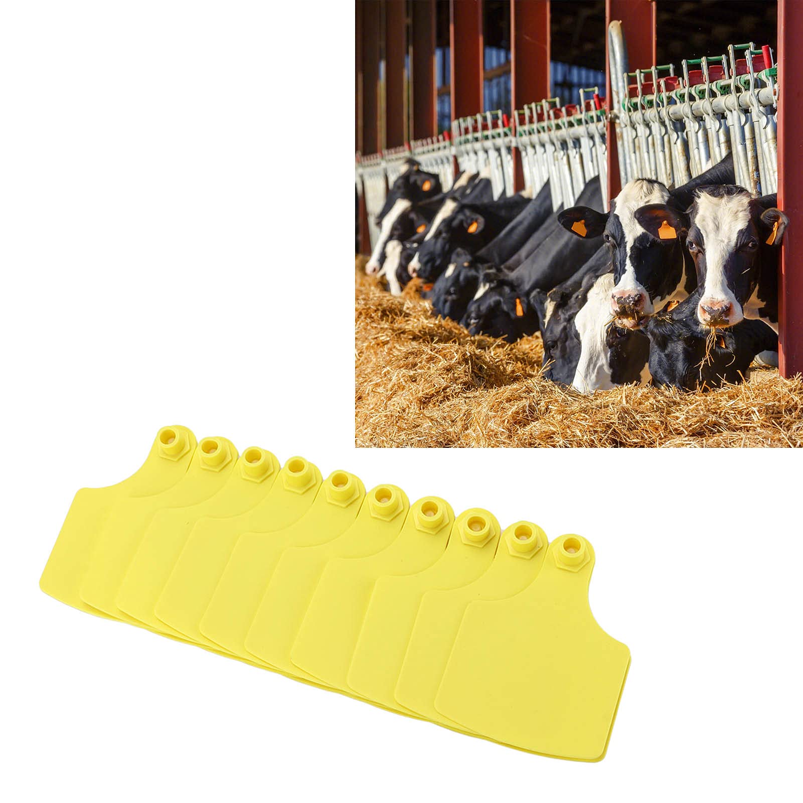 100 Set di etichette auricolari in plastica per bestiame, etichette auricolari per bovini per contrassegnare le mucche, accessori per allevamenti di animali dai colori vivaci con
