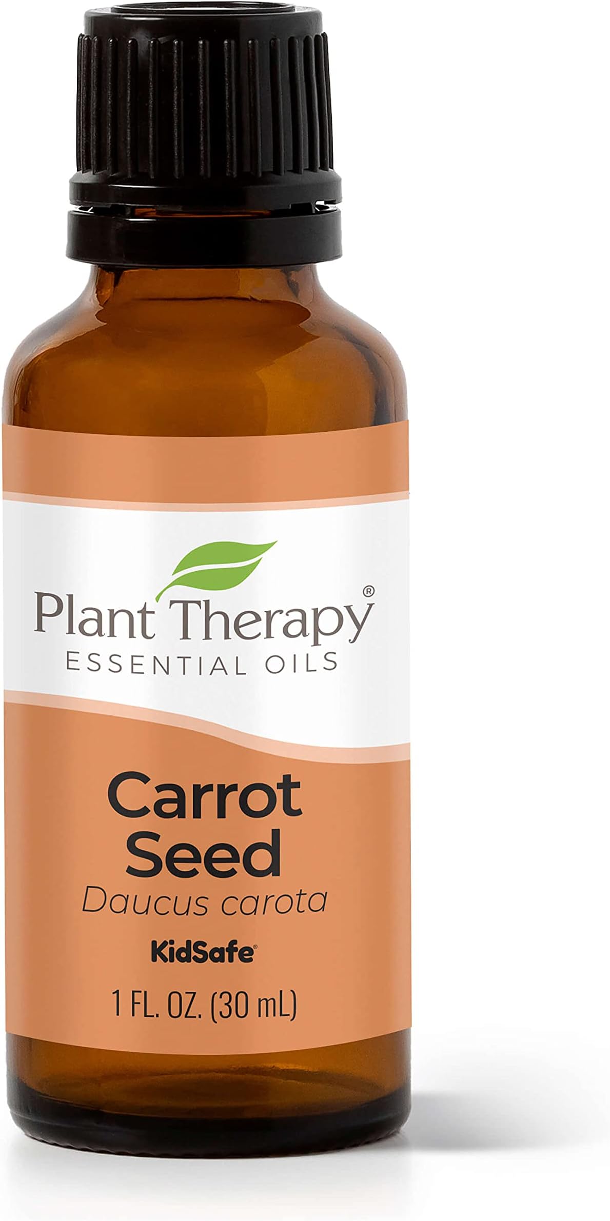 Plant TherapyCarrot Seed Essential Oil 100% Pure, Undiluted, Natural Aromatherapy, Therapeutic Grade 30 mL (1 oz)