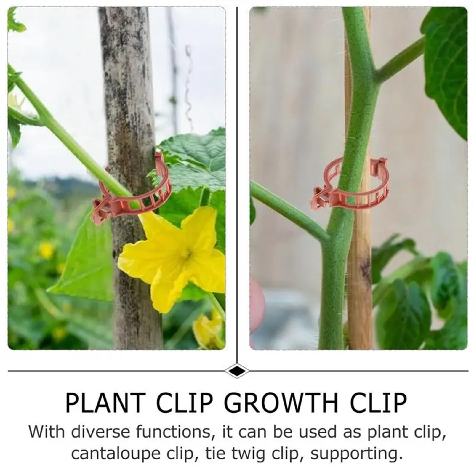 Mollette di sostegno per piante da giardino, Clip di supporto for piante in plastica marrone for steli di pomodori in serra 100 pz