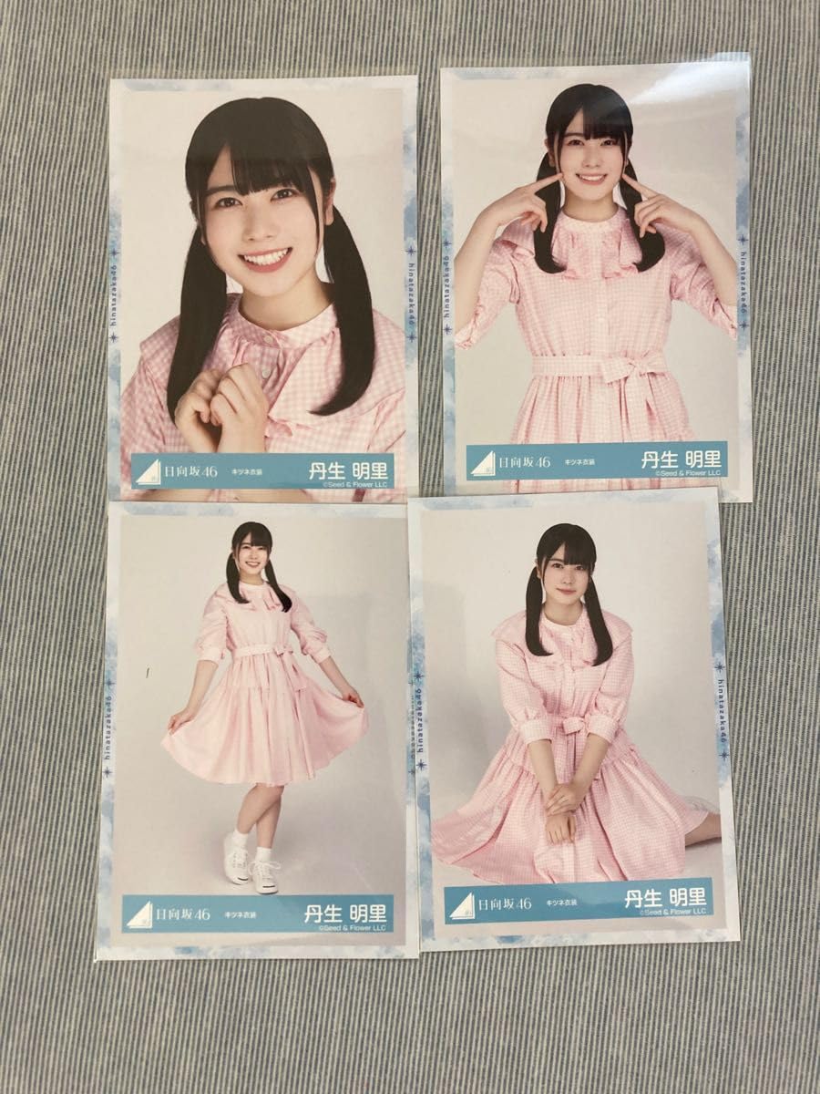 Amazon.co.jp: 生写真 コンプ けやき坂46 欅坂46 衣装 アーティスト 