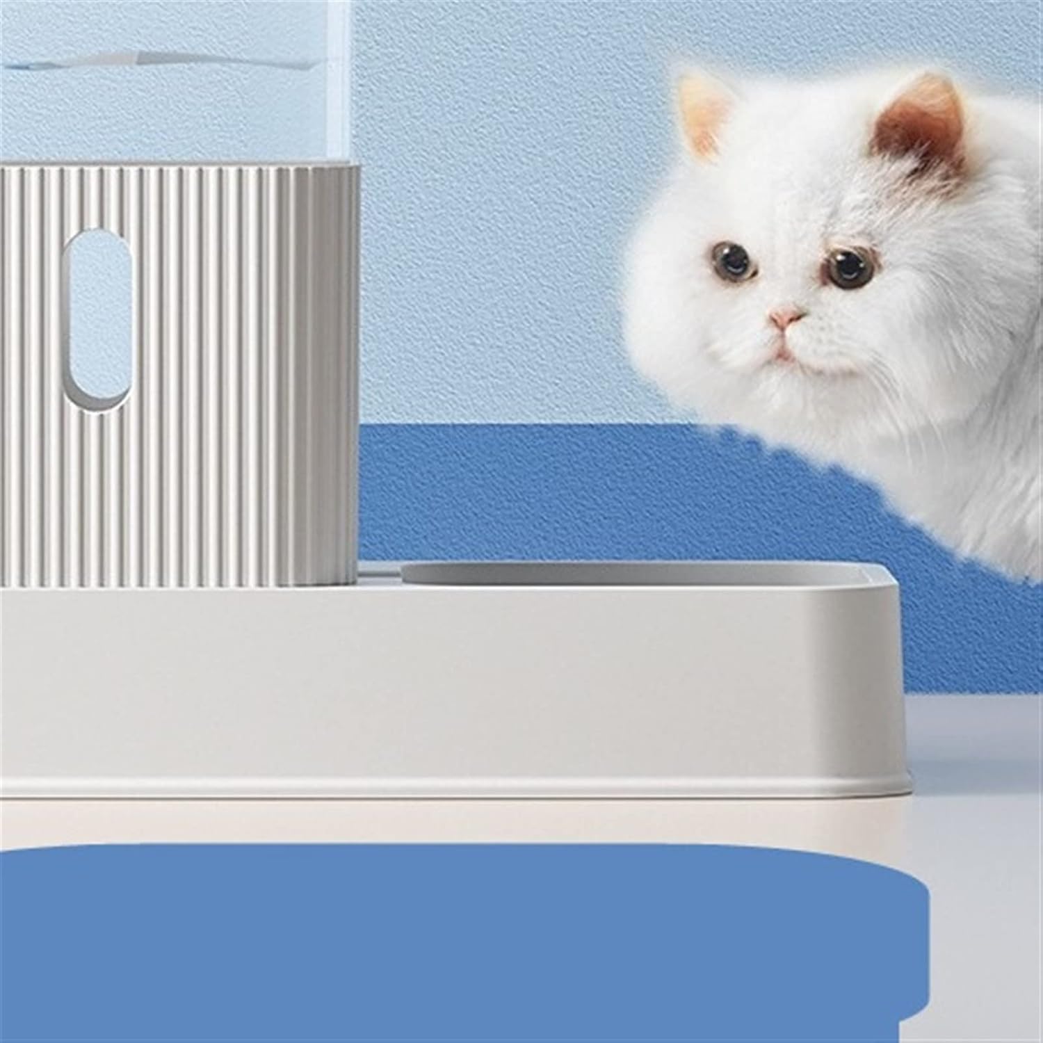 Dog Water Bottles 3.5L Dog Cat Feeder Bowl Automatic Pet Water Dispenser Drinking Fountain Bottle Plastic Feeding Drinker