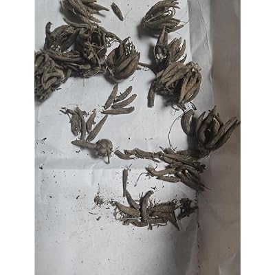 ubuy Nigeria