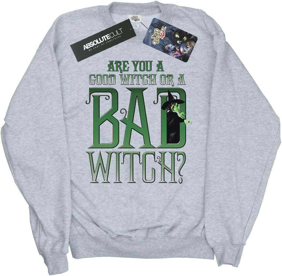 Wizard of Oz Boys Good Witch Bad Witch Sweatshirt 5-6 Years Sport Grey