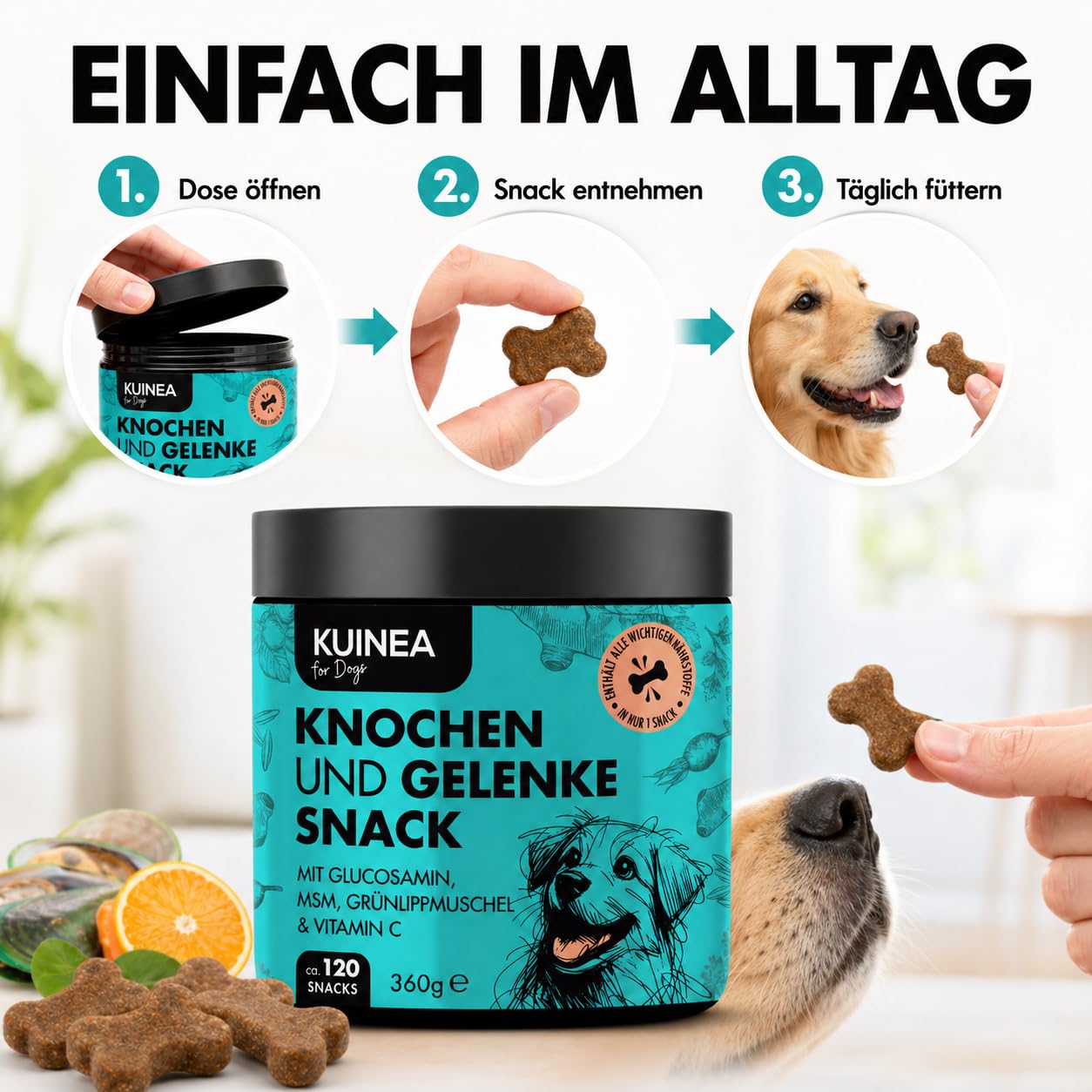 KUINEA® Hochkonzentrierte Gelenktabletten für Hunde als Leckerli – 120 Soft Chews (360g) – Grünlippmuschel Hund, Glucosamin, MSM & Vitamin C – Knochen & Gelenke – Getreide- & zuckerfrei, laborgeprüft