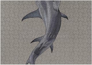 Amazon Fr Hammerhead Games