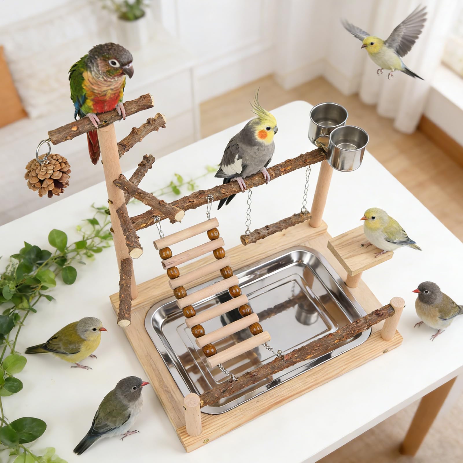 giochi per uccelli, giochi in legno | Scala per pappagalli con tazza e vassoio in acciaio inox per cotore, fringuelli, agapornis allenamento esercizio