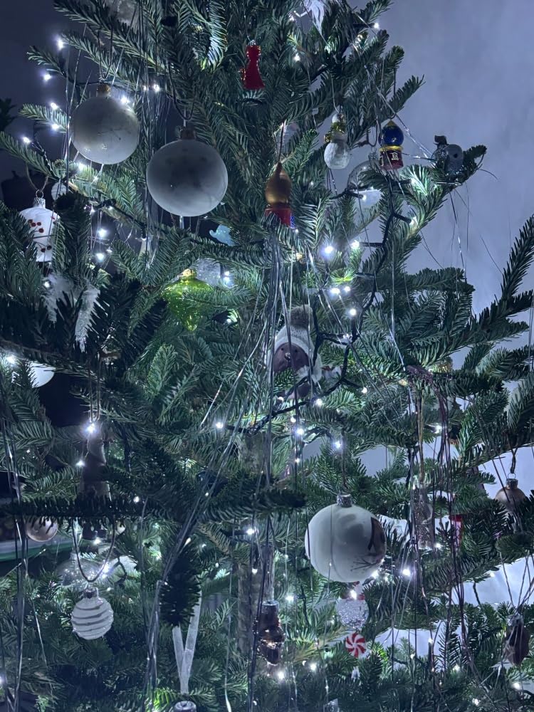Guirlande de Noël lumineuse extérieure clignotante 34m, 750 LED blanc pur