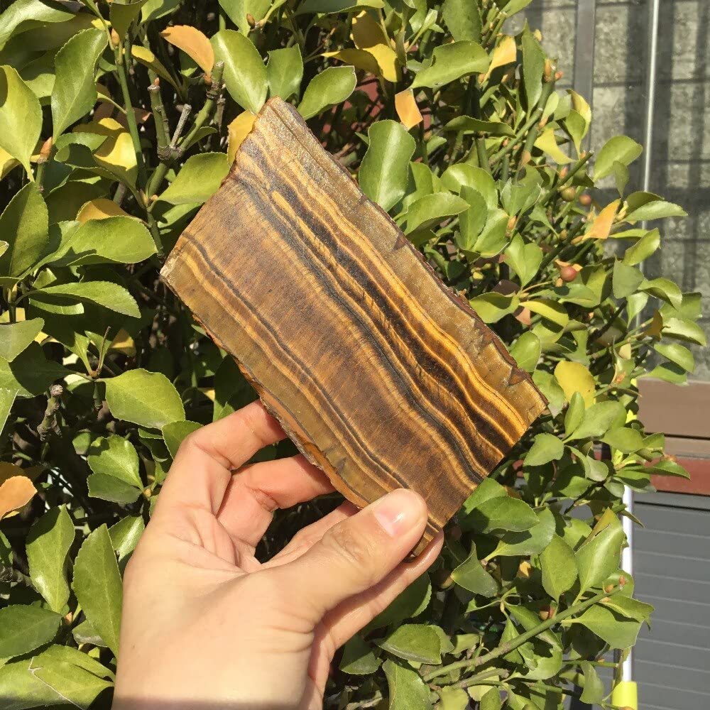 3dRose 8 inch Porcelain Plate - Ornamental Moon Half and Sun Illustration Illustrations