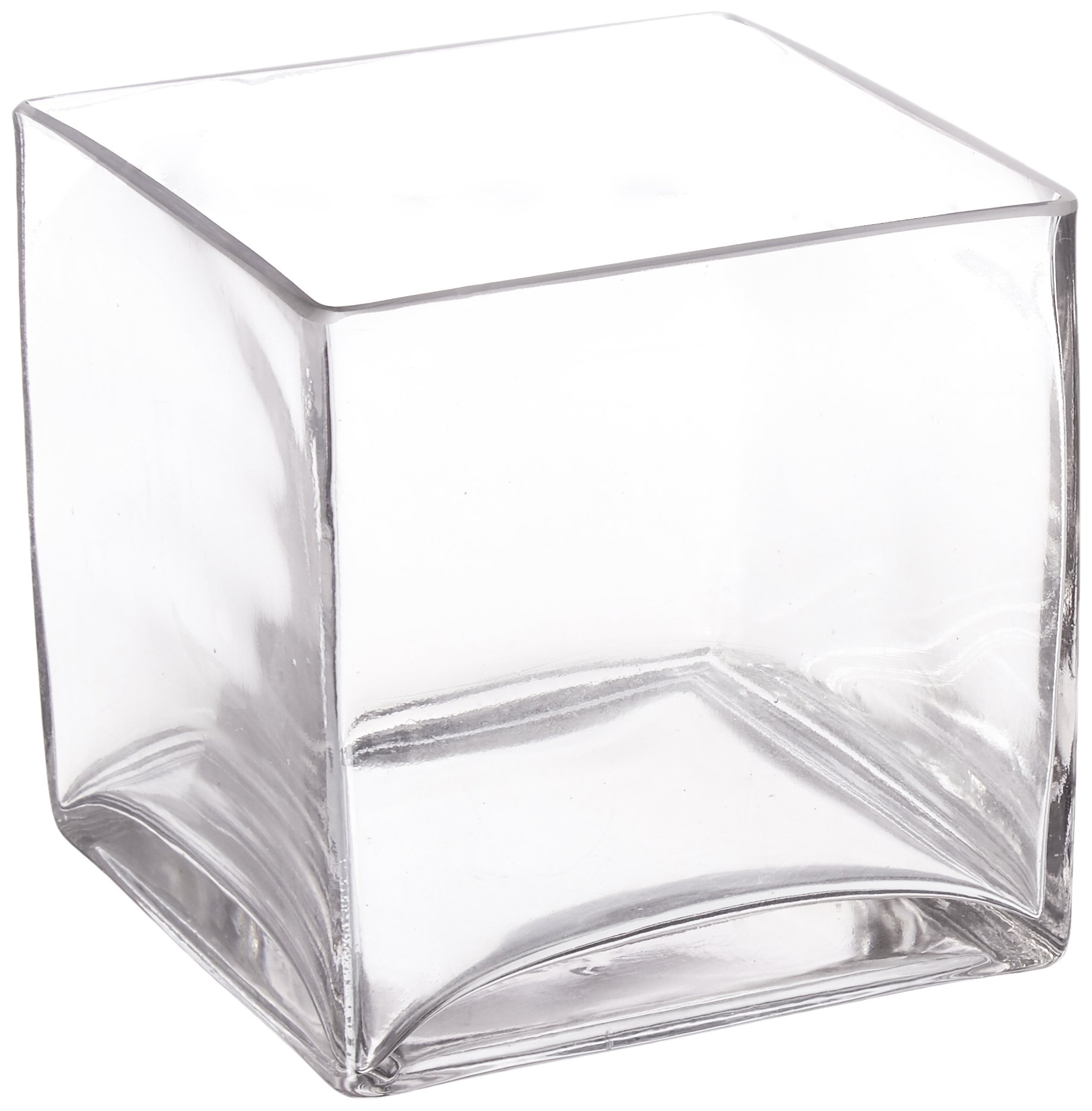 Cube Glass Vase Decor For You