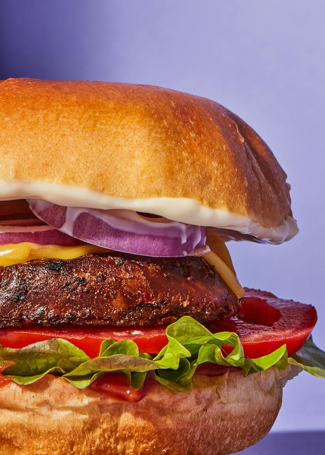 KoRo Veganer Bio Burger Shiitake und Paprika 12 x 160 g Proteinreiche Fleischalternative