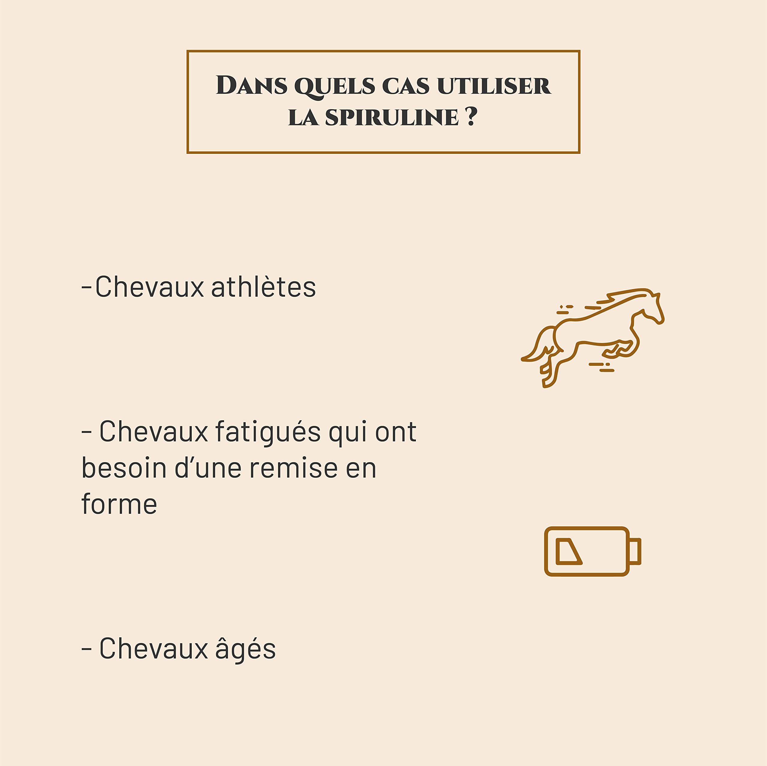SPIRULINE - Complément nutritionnel Cheval - Seau 1 kg - Riche en protéines, vitamines, minéraux - Energie - Vitalité - Masse Musculaire Cheval - Marque Française