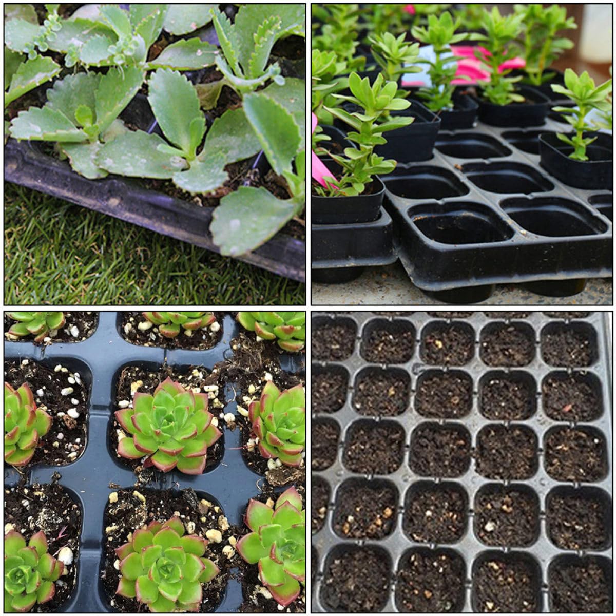 HEMOTON Vassoio Germinazione 200 Celle Nero in Plastica Riciclata 5 Pezzi | Design a Fori Aperti, Bordi Lisci, per Semina Domestica, Adatto a Principianti