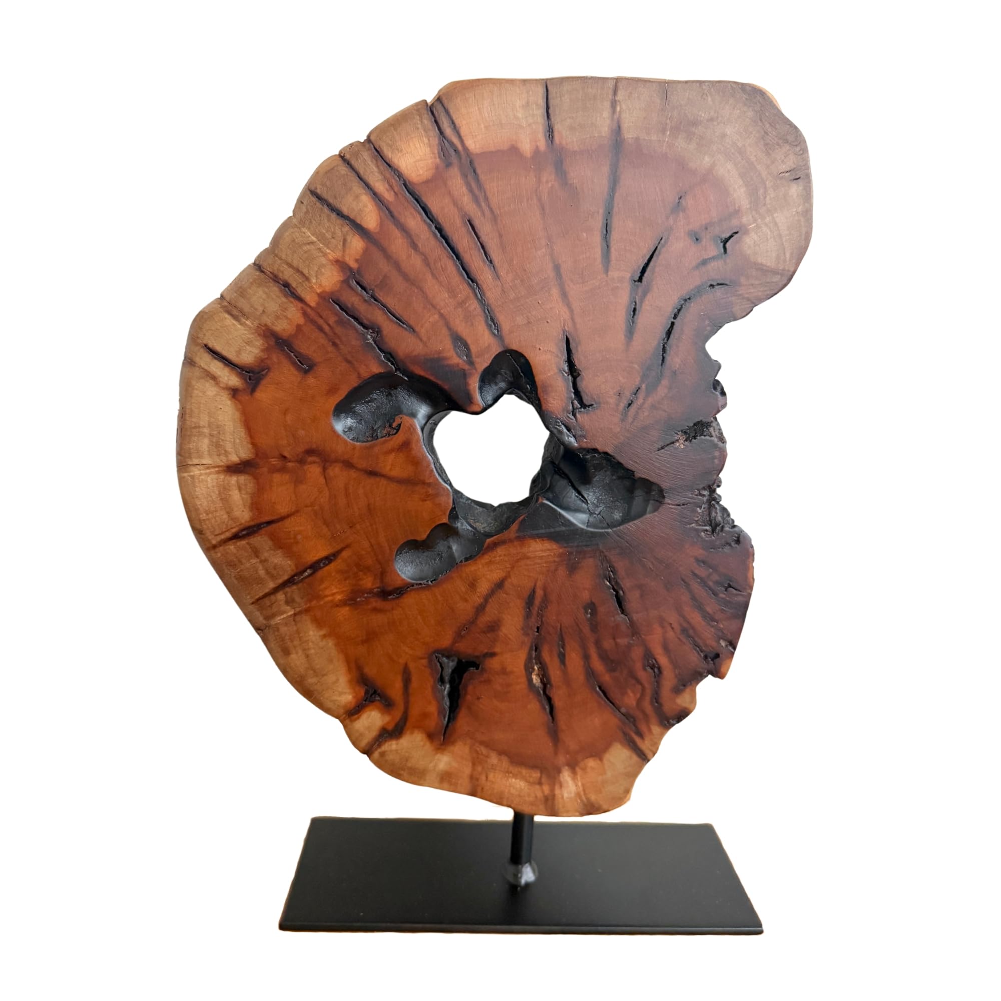 THY COLLECTIBLES Escultura irregular de madera de raíz tallada a mano, escultura abstracta de pie para decoración del hogar, borde natural, estatua de árbol, pequeño (7.75 pulgadas de ancho x 11