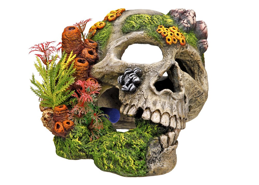 Nobby Skull with Plants Aquarium Ornaments, 19.5 x 16 x 14 cm