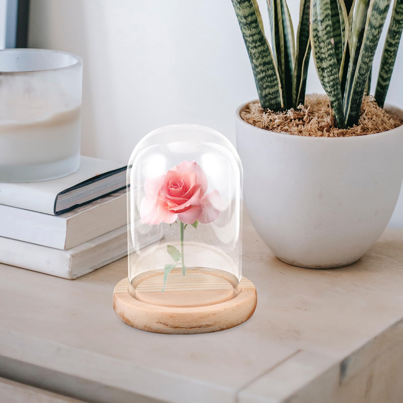 Miniatur-Glocke aus Glas für Sammlerstücke, Glockenkuppel für Pflanzen, Blumenhandwerk