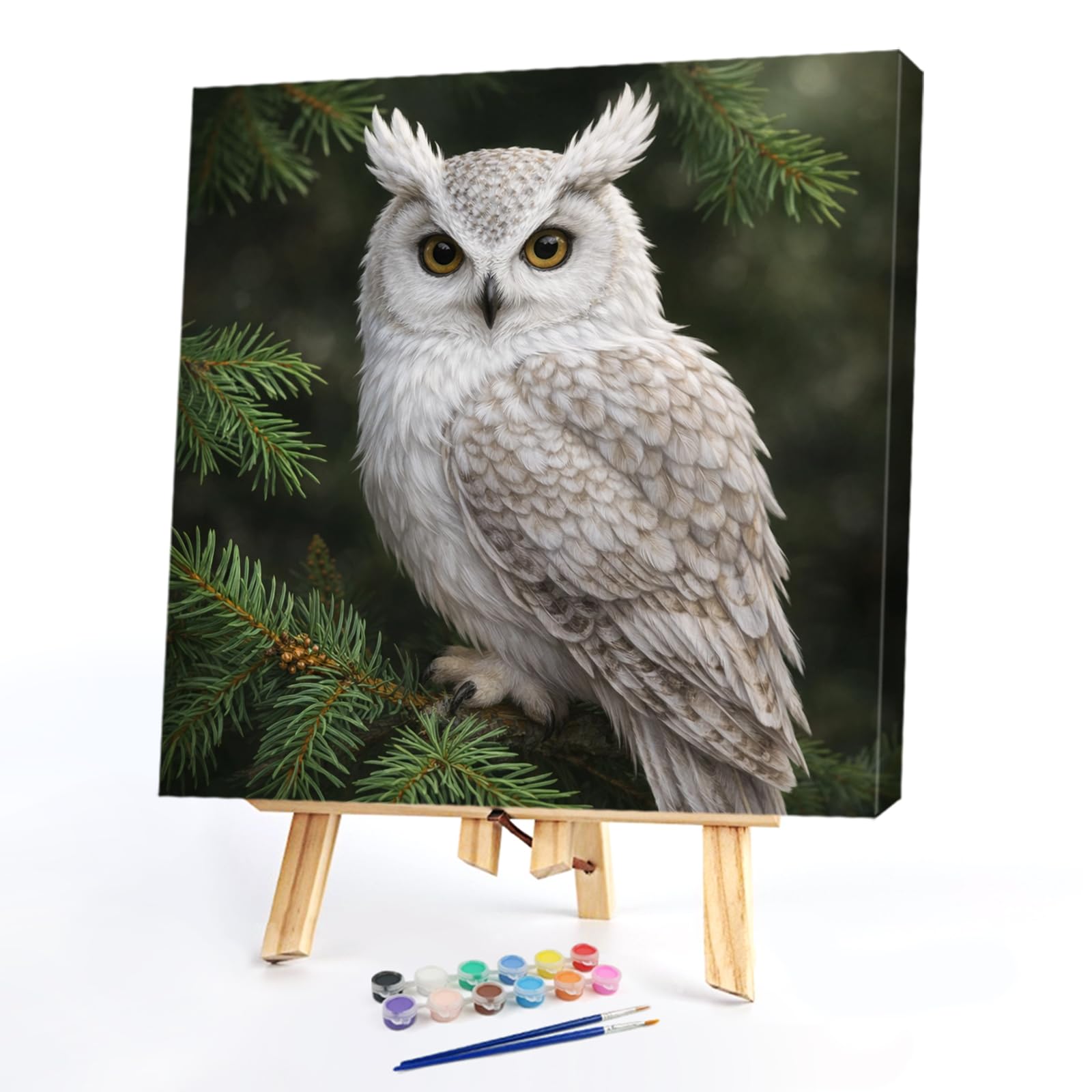 DIY Snowy Owl Paint by Numbers Kits Drawing Paintwork on Canvas 40x40cm Without Frame Canvas Oil Painting Number Painting on Canvas 15.75x15.75inch Without Frame for Adults Beginner Home Decor