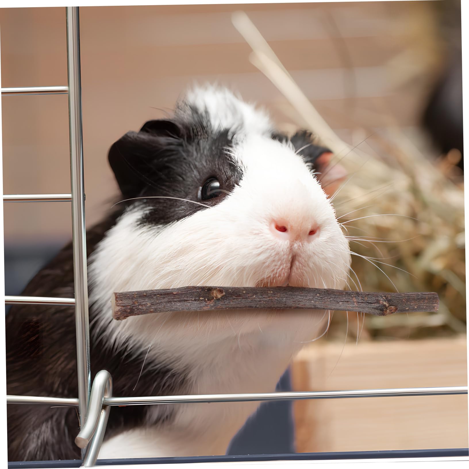 WOONEKY 55 Pezzi Bastoncini da Masticare per Criceti e Conigli Piccoli Animali Giocattolo in Legno per Affilare Denti e Ridurre Noia