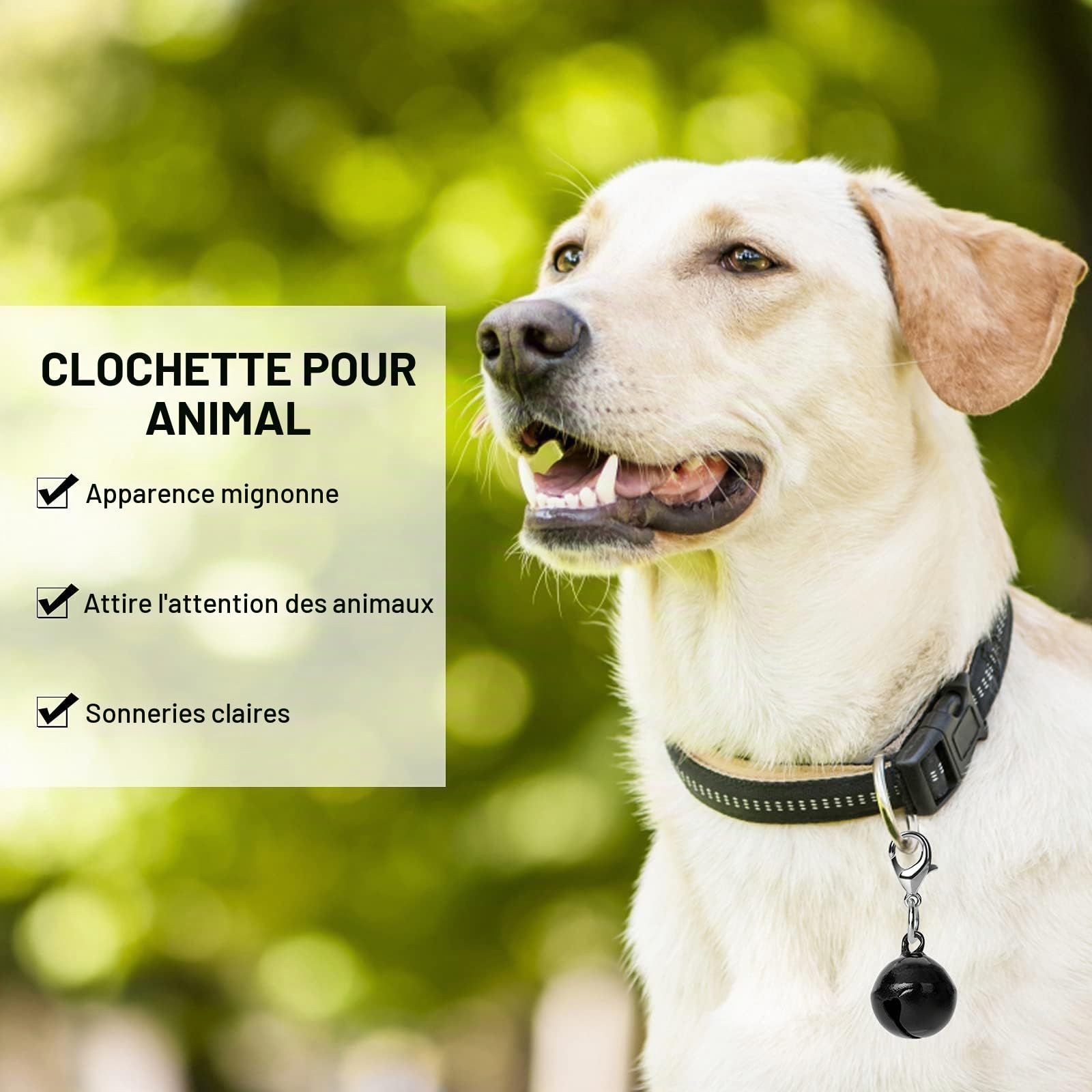 Molain Lot de 10 clochettes colorées pour collier de chat et chien, petites clochettes colorées avec fermoirs, accessoires de collier pour animaux de compagnie, festival, fête, loisirs créatifs
